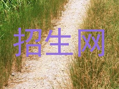 招生网