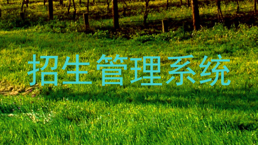 招生管理系统