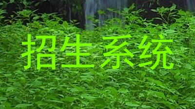 招生系统