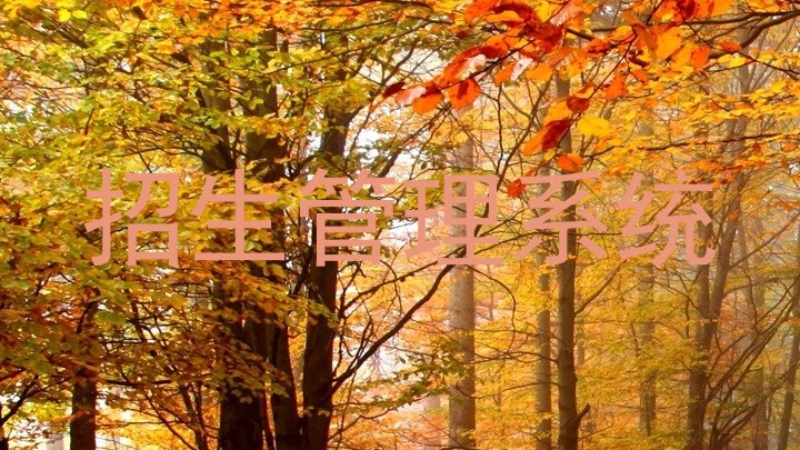 招生管理系统