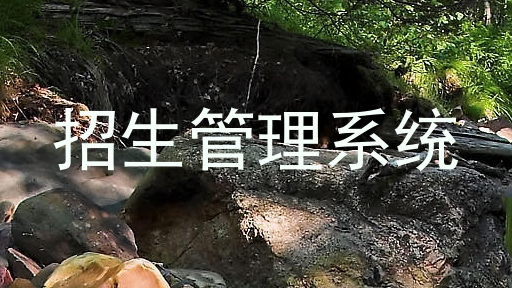 招生管理系统