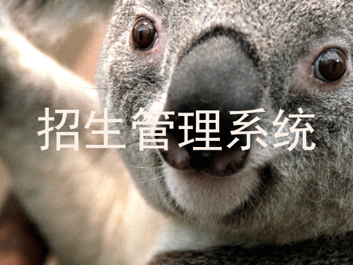 招生管理系统