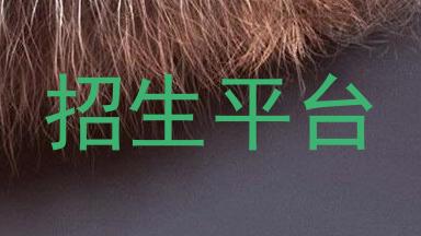 招生平台