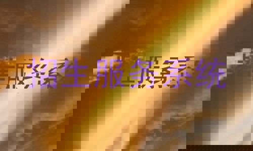 招生服务系统