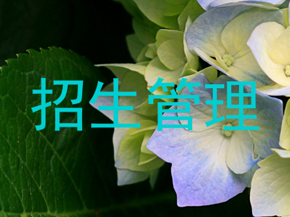 招生管理