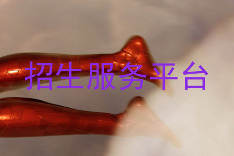 招生服务平台