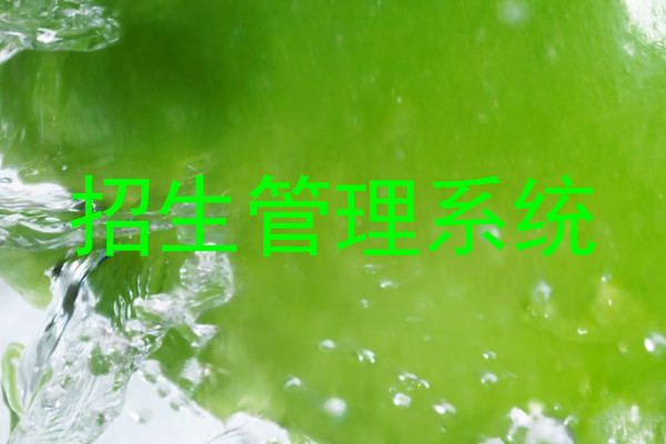 招生系统