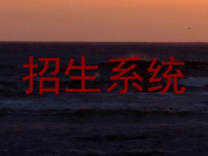 招生系统
