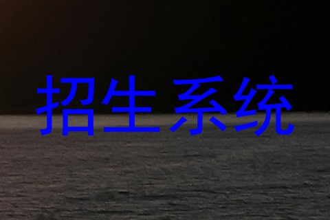招生系统