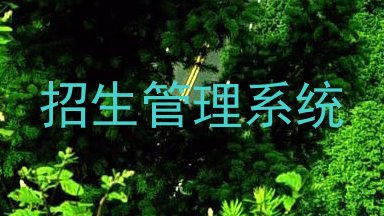 招生管理系统