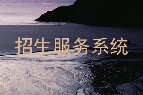 招生服务系统
