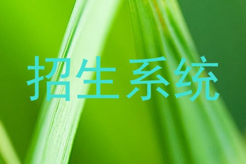 招生系统