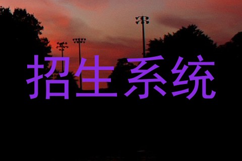 招生系统