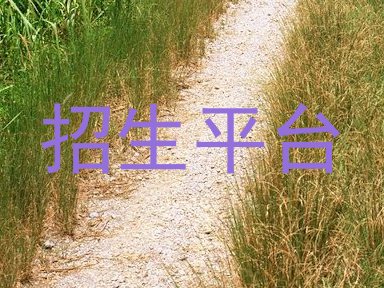 招生平台