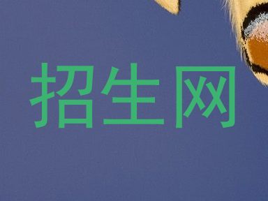 招生网