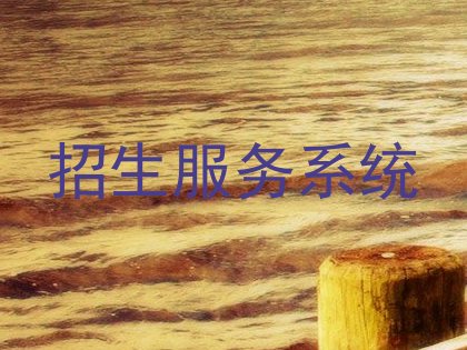 招生服务系统
