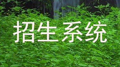 招生系统