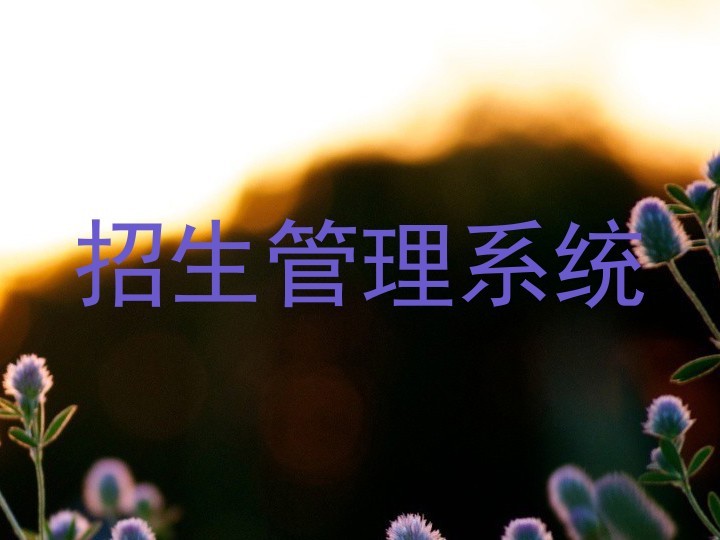 招生管理系统