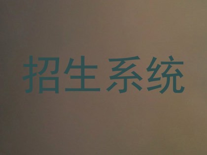 招生系统