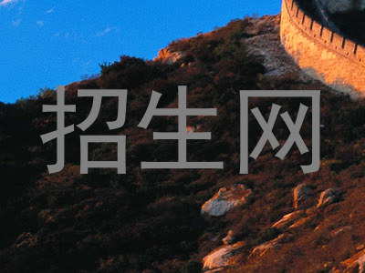 招生网