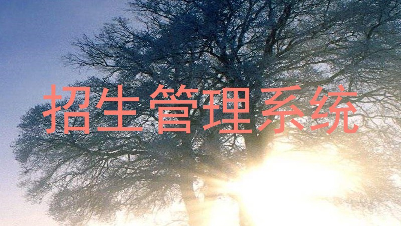招生管理系统