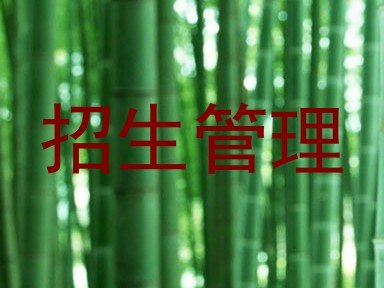 招生管理