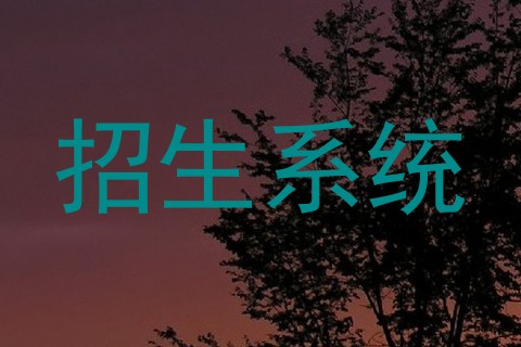 招生系统