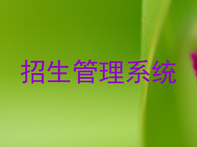 招生管理系统