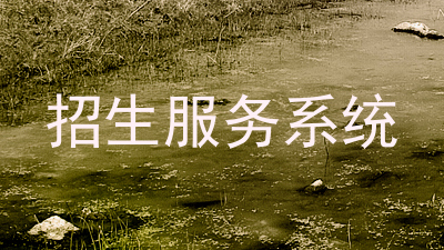 招生服务系统