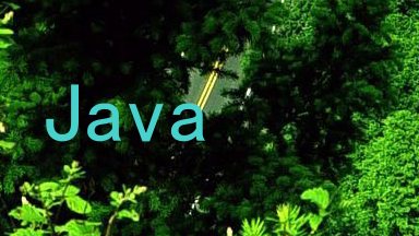 Java