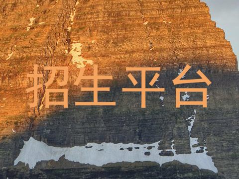 招生平台