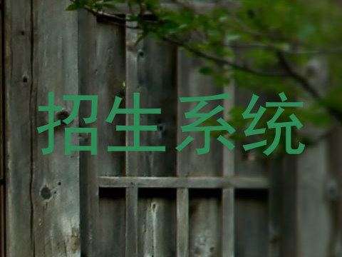 招生系统
