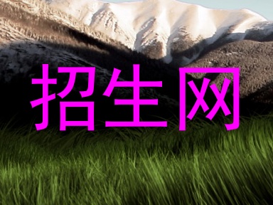 招生网