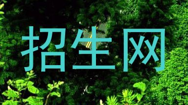 招生网