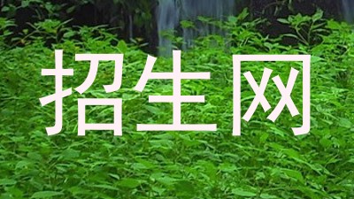 招生网