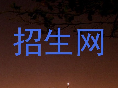 招生网