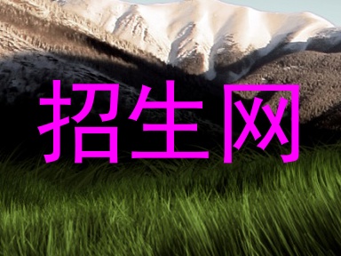 招生网