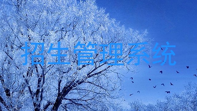 招生管理系统