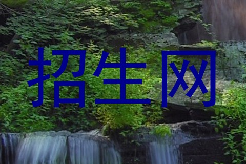 招生网