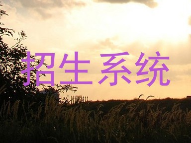 招生系统