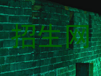 招生网
