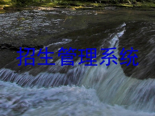招生管理系统