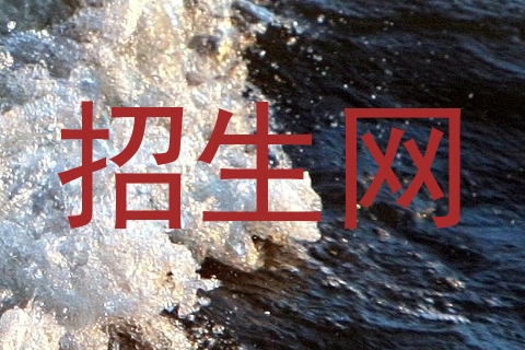 招生网