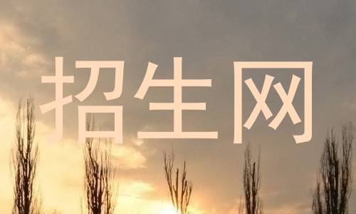 招生网