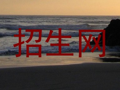 招生网