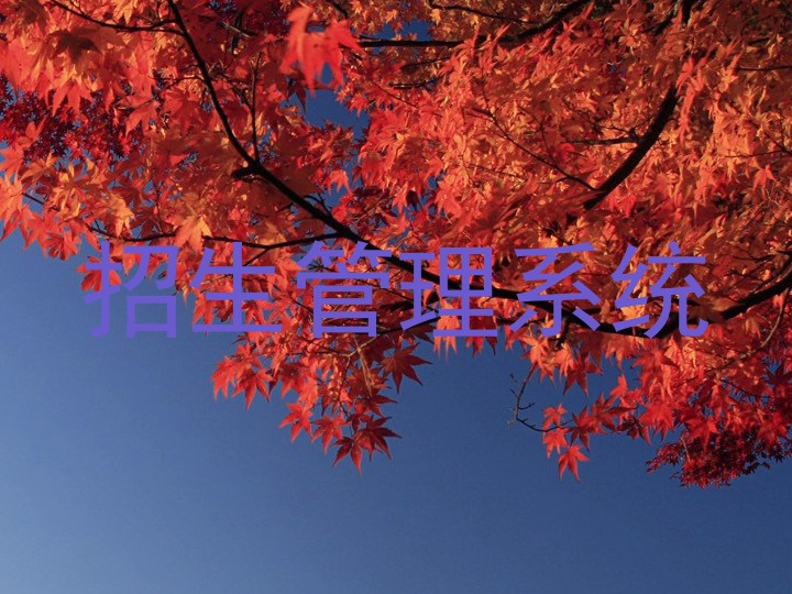 招生管理系统