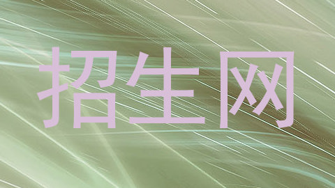 招生网