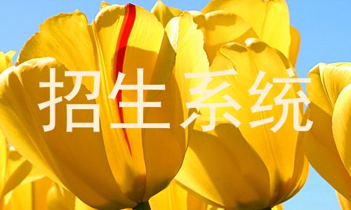 招生系统