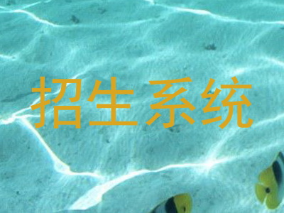招生系统