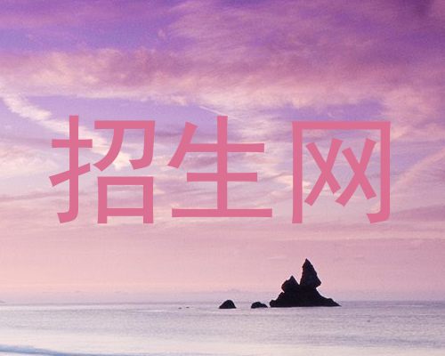招生网